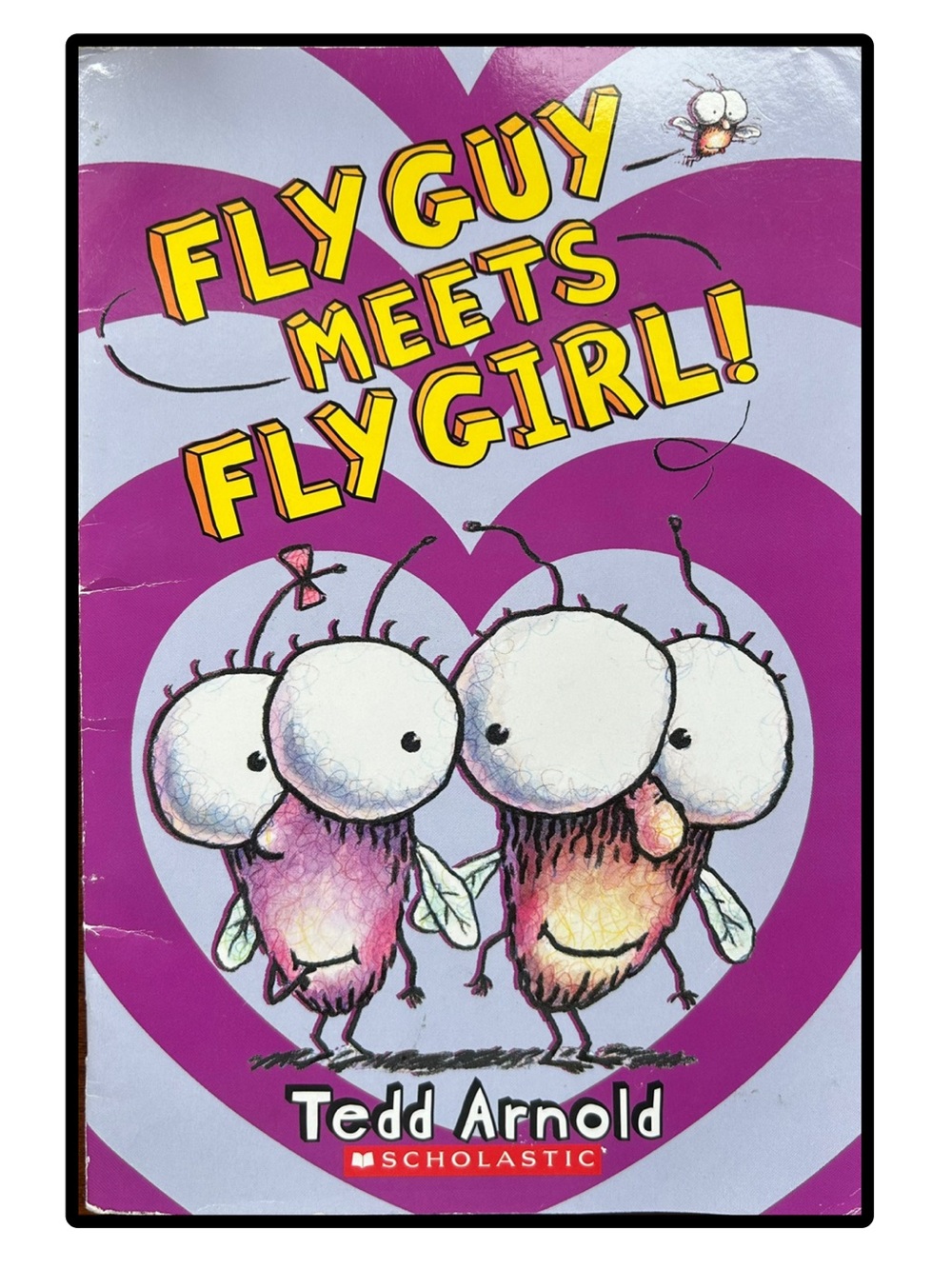 BUNDLE & SAVE 🪰Fly Guy Meets Fly Girl by Tedd Arnold